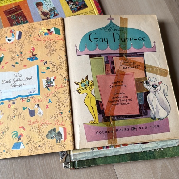 Collection - Multicolor - Picture 16 of 17